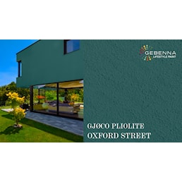 PLIOLITE FARVEKORT OXFORD STREET.jpg